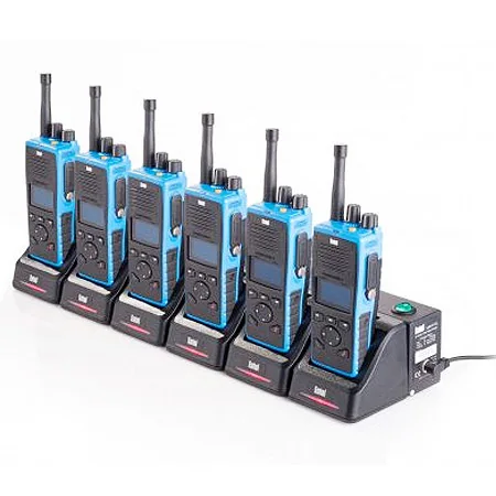 Entel CSBHT 6-Way Multi Charger 110-230V I.S.