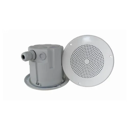 Indoor Ceiling Speakers